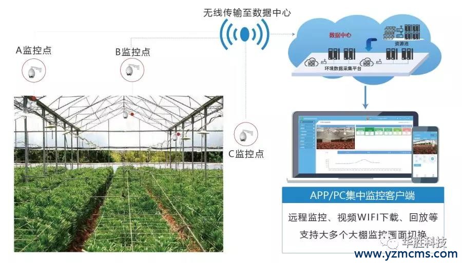 比自動化溫室更厲害——智能溫室中的“黑科技” 比自動化溫室更厲害——智能溫室中的“黑科技”