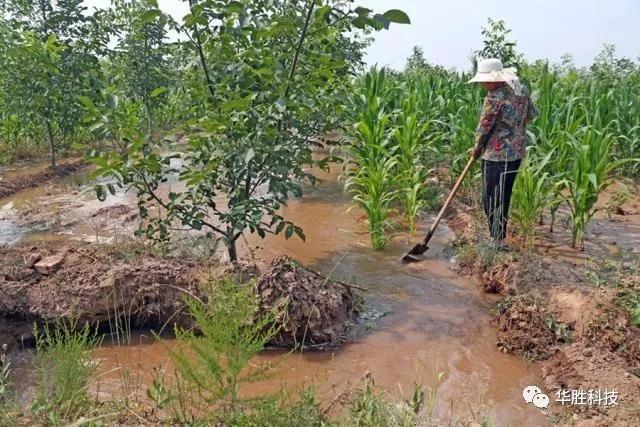 灌溉不合理造成的土壤問題及解決方案|水肥一體化灌溉 灌溉不合理造成的土壤問題及解決方案|水肥一體化灌溉
