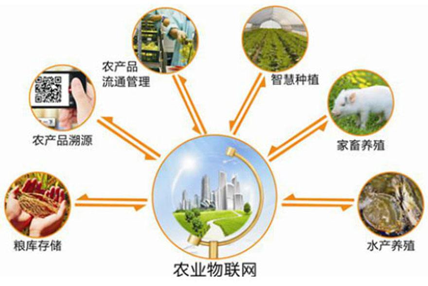 智慧農(nóng)業(yè)未來發(fā)展前景 智慧農(nóng)業(yè)未來發(fā)展前景
