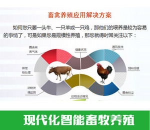 現(xiàn)代化智能畜牧養(yǎng)殖 現(xiàn)代化智能畜牧養(yǎng)殖