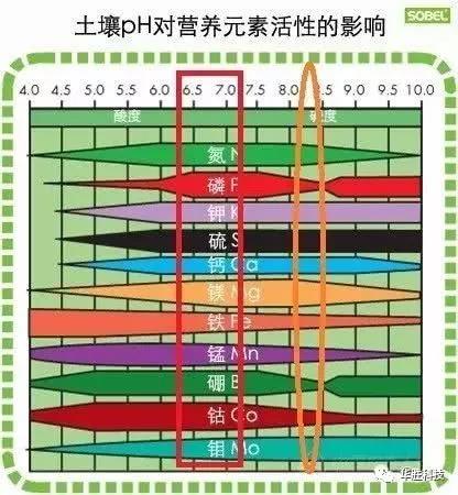 土壤的三大“殺手” 直接影響肥效和作物生長(zhǎng)，90％的人都不知道！