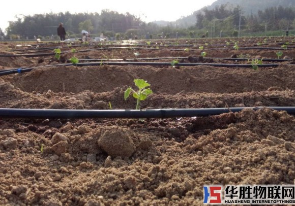 滴灌在生態(tài)農(nóng)業(yè)節(jié)水灌溉中的重要性 滴灌在生態(tài)農(nóng)業(yè)節(jié)水灌溉中的重要性