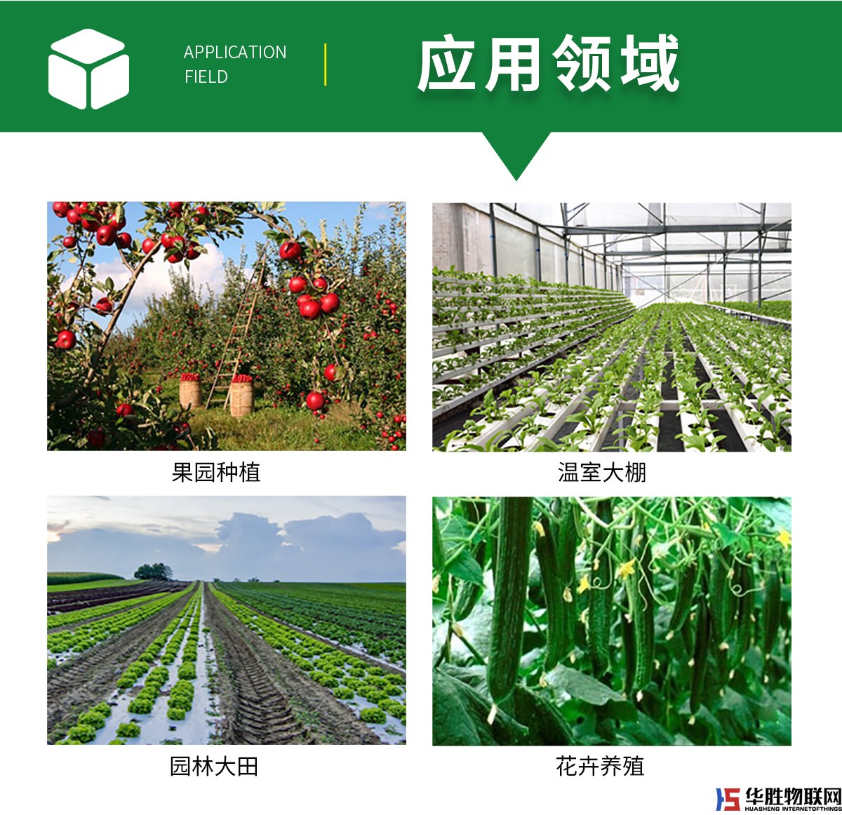水精靈經(jīng)濟(jì)版 水精靈經(jīng)濟(jì)版