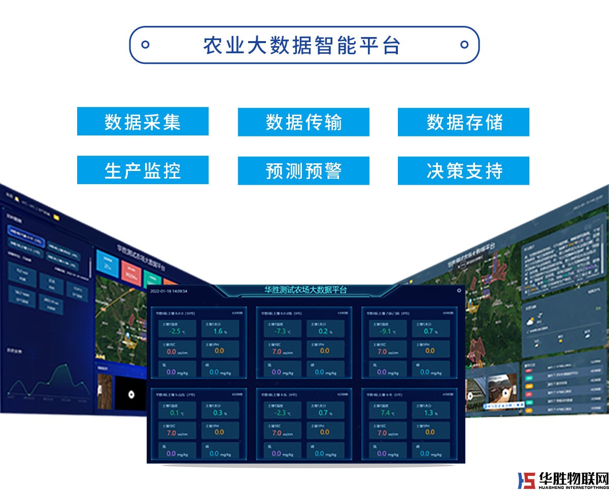 水精靈經(jīng)濟(jì)版 水精靈經(jīng)濟(jì)版