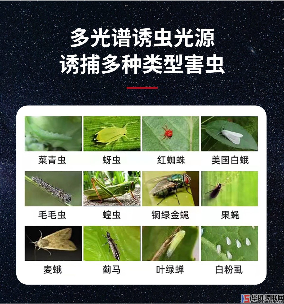 風(fēng)吸式殺蟲燈 風(fēng)吸式殺蟲燈