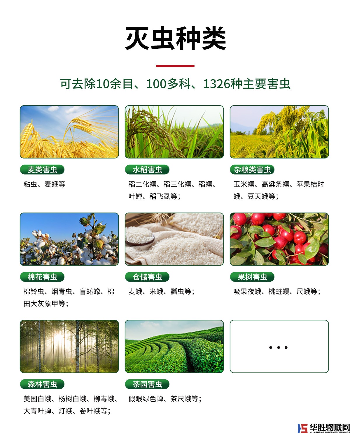 風(fēng)吸式殺蟲燈 風(fēng)吸式殺蟲燈