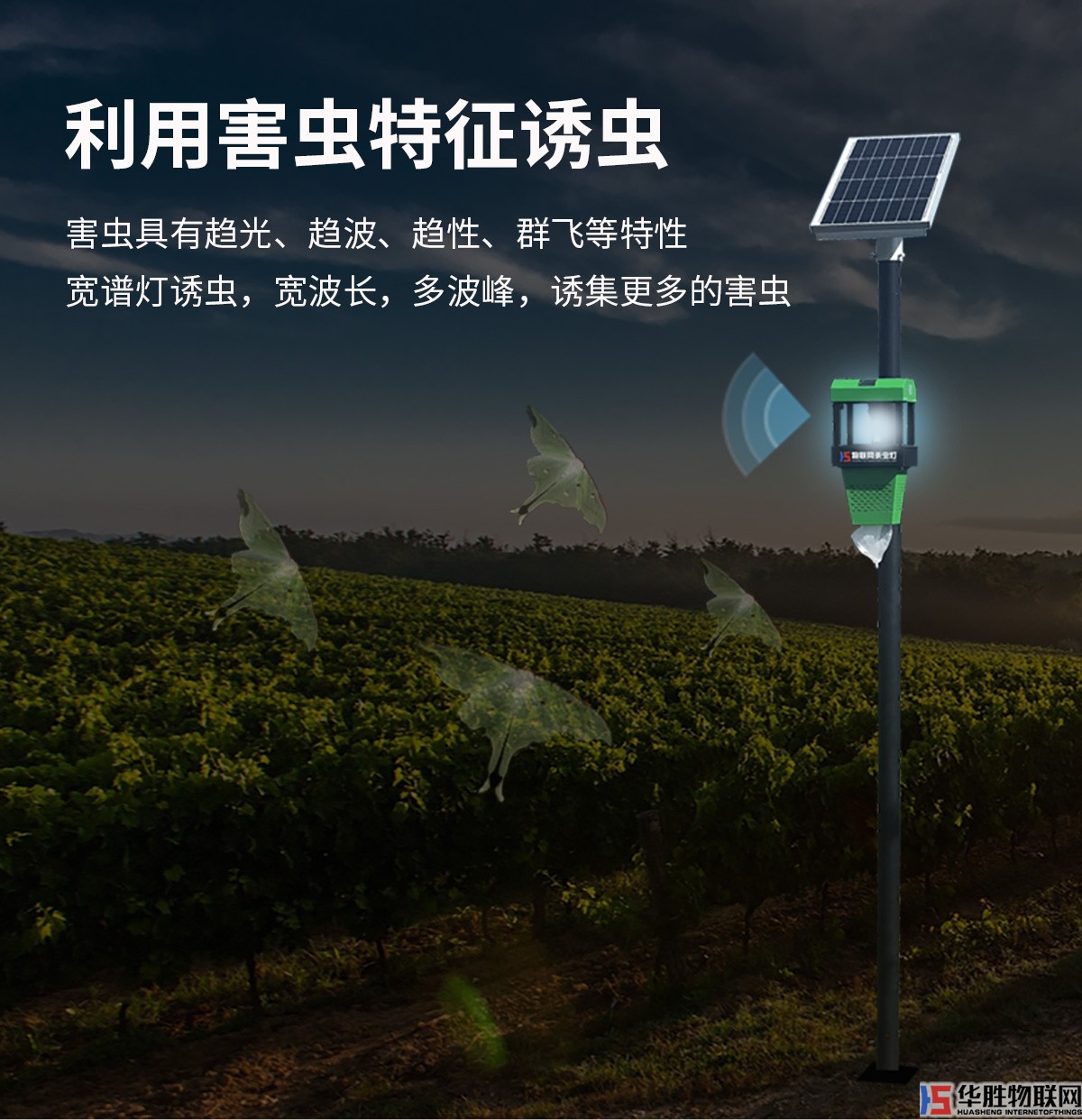 風(fēng)吸式殺蟲燈 風(fēng)吸式殺蟲燈