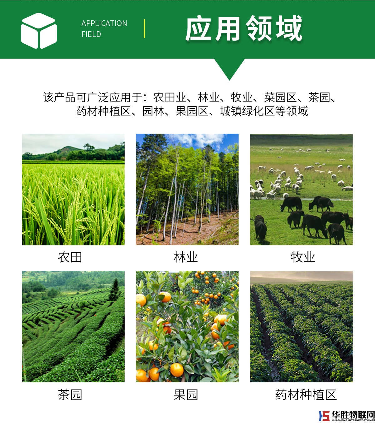 風(fēng)吸式殺蟲燈 風(fēng)吸式殺蟲燈